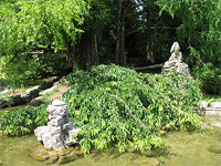 Верхний Дендрарий - Японский садик - Сакура