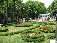 Парк Ривьера - Аллея пальм с фонтаном
