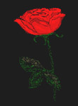 «Роза»