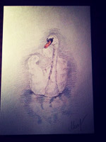 «Лебедь»