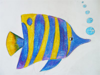 «Рыбка»