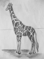 «Жираф»